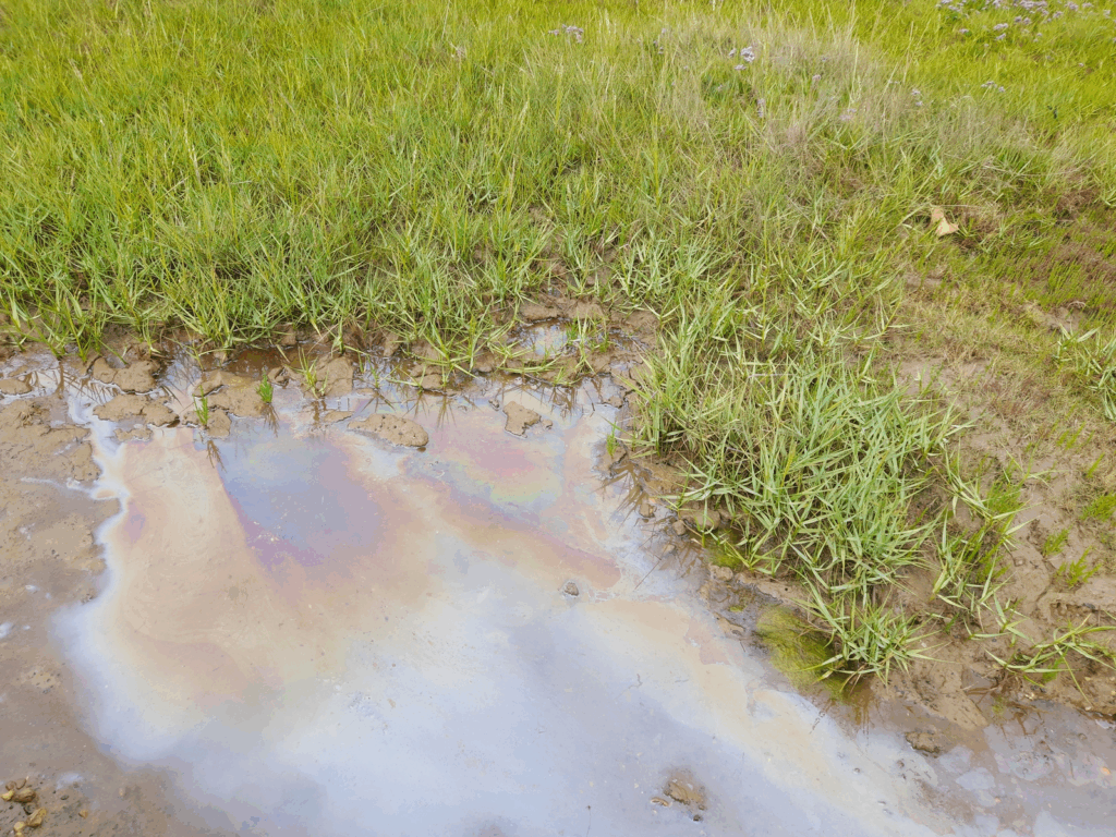 A small puddle on a grassy patch displays a rainbow-hued oily sheen, highlighting surface contamination.